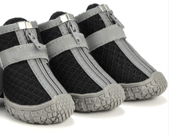 Pet Shoes