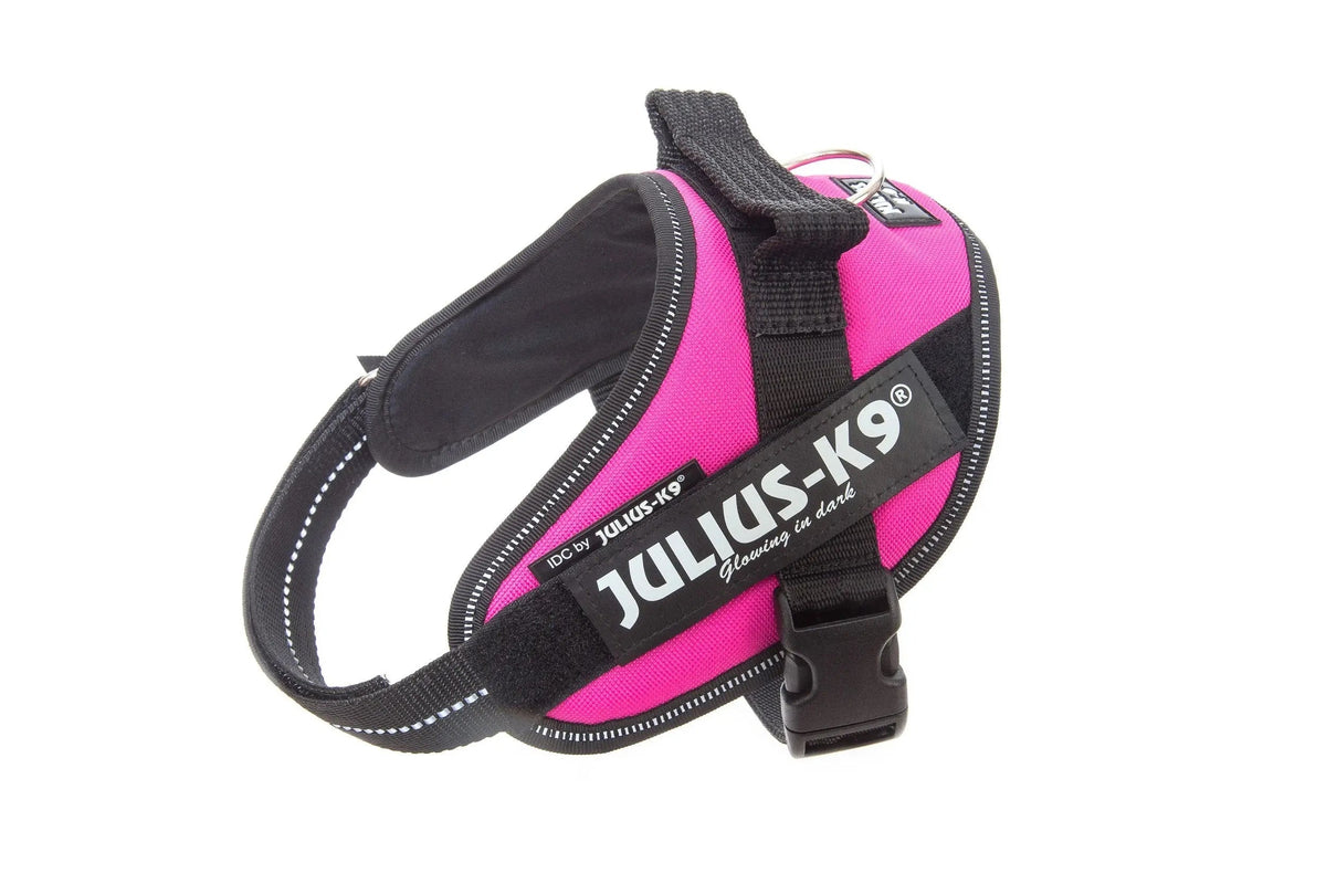 Julius-K9® IDC® Powerharness