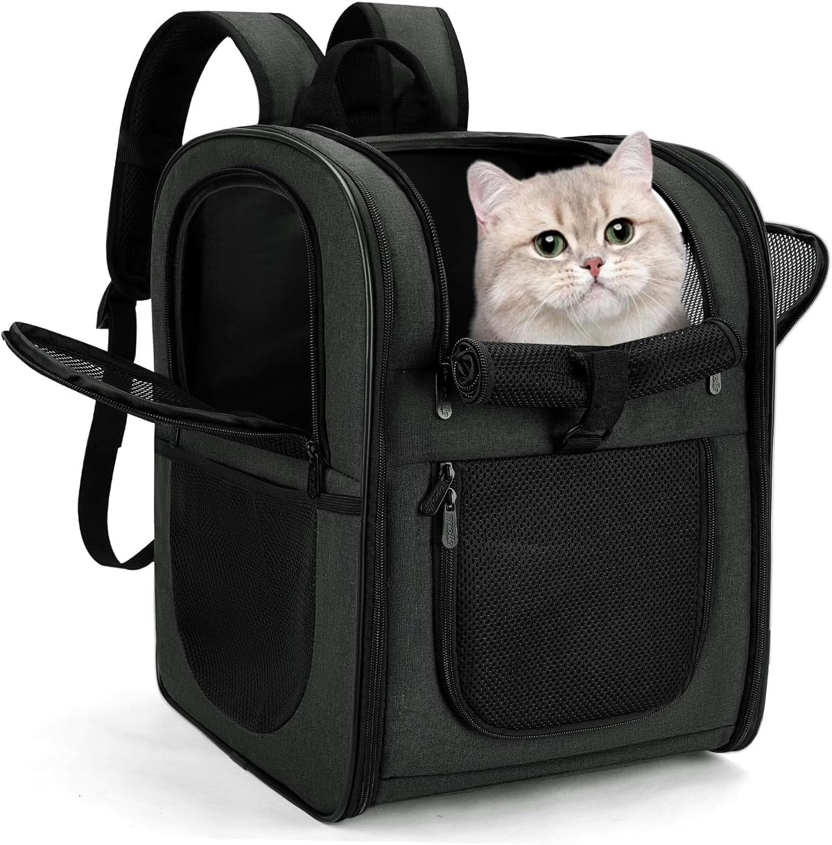 Apollo Walker Dog & Cat Carrier Backpack for 4-18lb Pets - Ventilated Safe Design with Padded Back Support, Breathable Mesh Pet Backpack for Hiking, Travel, Outdoor (Black)