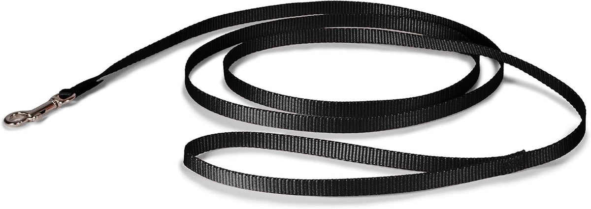 PetSafe Nylon Leash - Chew-Resistant Cat & Dog Behavioral Training Leash - Compatible with Easy-Walk Harness - Traditional-Style Reliable Pet Lead with a Padded Hand Wrap - 3/8" x 6' - Black