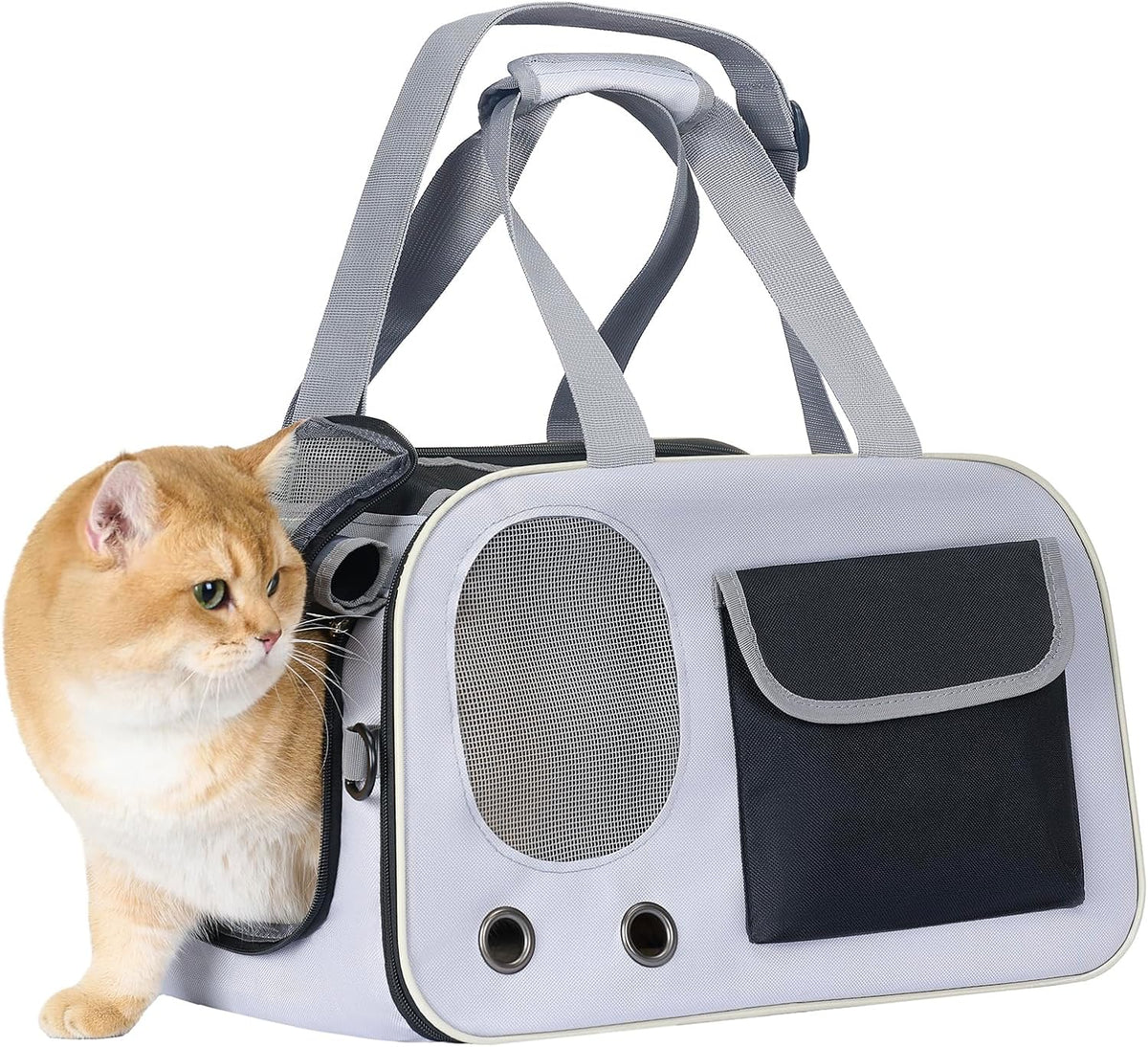 Cat, Dog Carrier for Pets up to 15 lbs, Soft-Sided Collapsible Pet Carrier with Sturdy Base, Roll-up Curtain and Large Storage Bag, Cat Bag for Medium Cats and Small Dogs