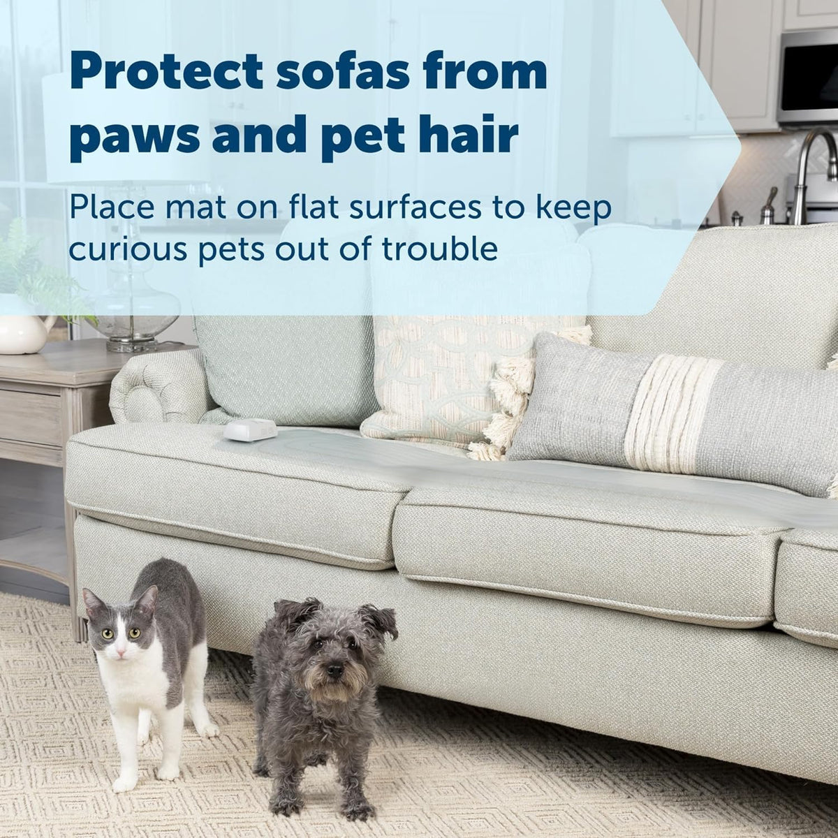 PetSafe ScatMat Indoor Training Mat