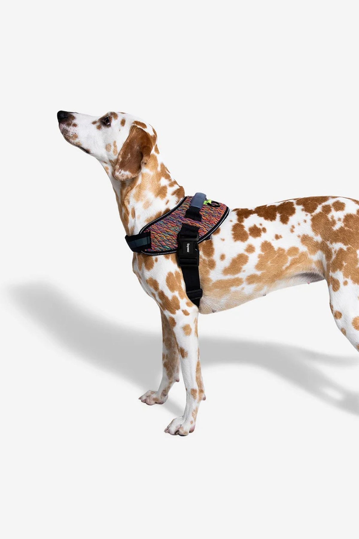Zee.Dog Vortex Dog Fly Harness